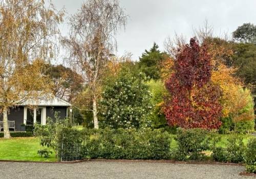 Winter at Ranginui Retreat