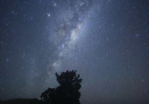 The night sky from Ranginui Retreat