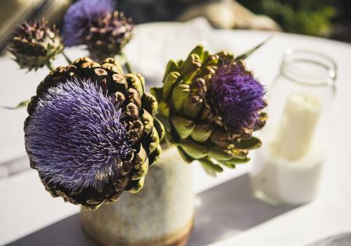 The Artichoke and the Home